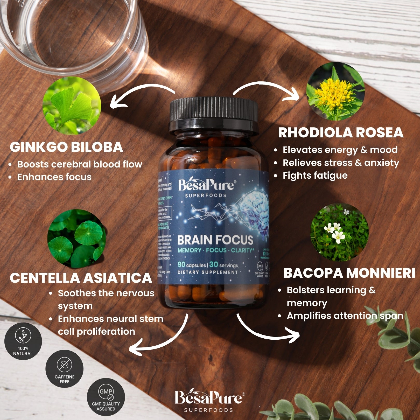 Brain Focus — Natural Nootropic