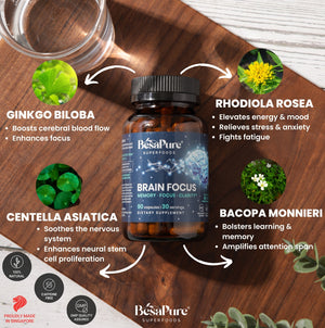 Brain Focus — Natural Nootropic