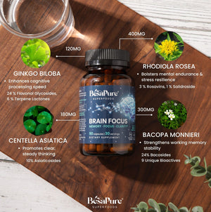 Brain Focus – Natural Nootropic