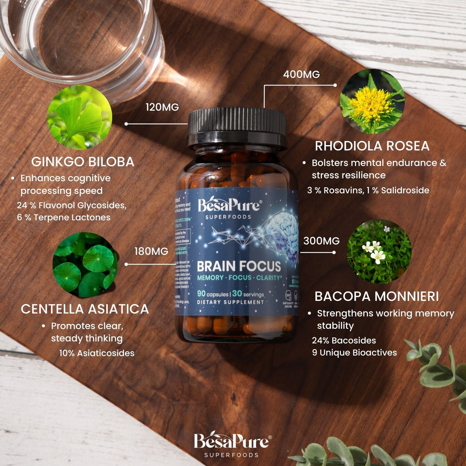 Brain Focus – Natural Nootropic