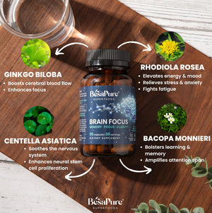 Brain Focus — Natural Nootropic