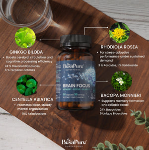 Brain Focus – Natural Nootropic