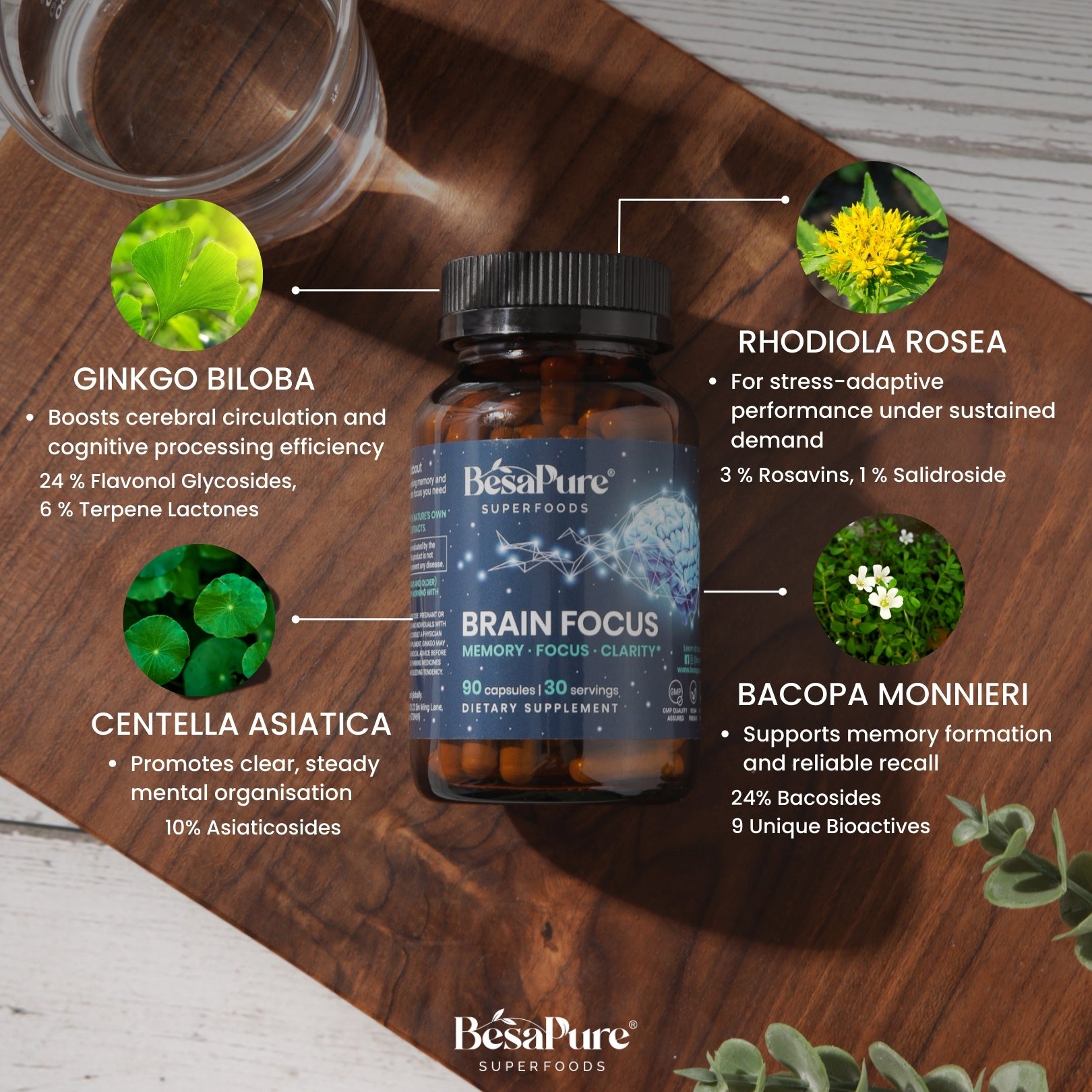 Brain Focus – Natural Nootropic