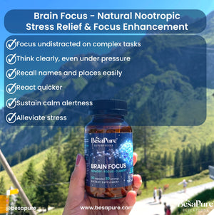 Brain Focus – Natural Nootropic