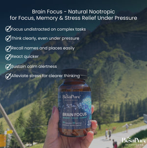 Brain Focus – Natural Nootropic
