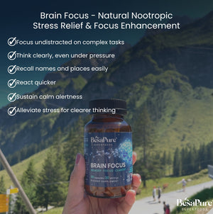 Brain Focus – Natural Nootropic