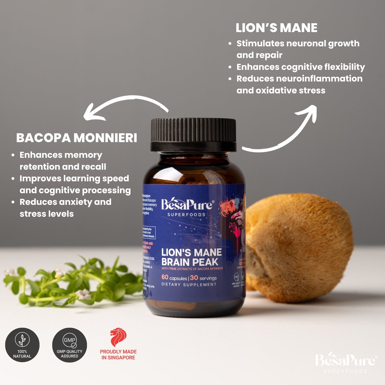 Lions Mane Brain Peak — Nature's Genius Blend