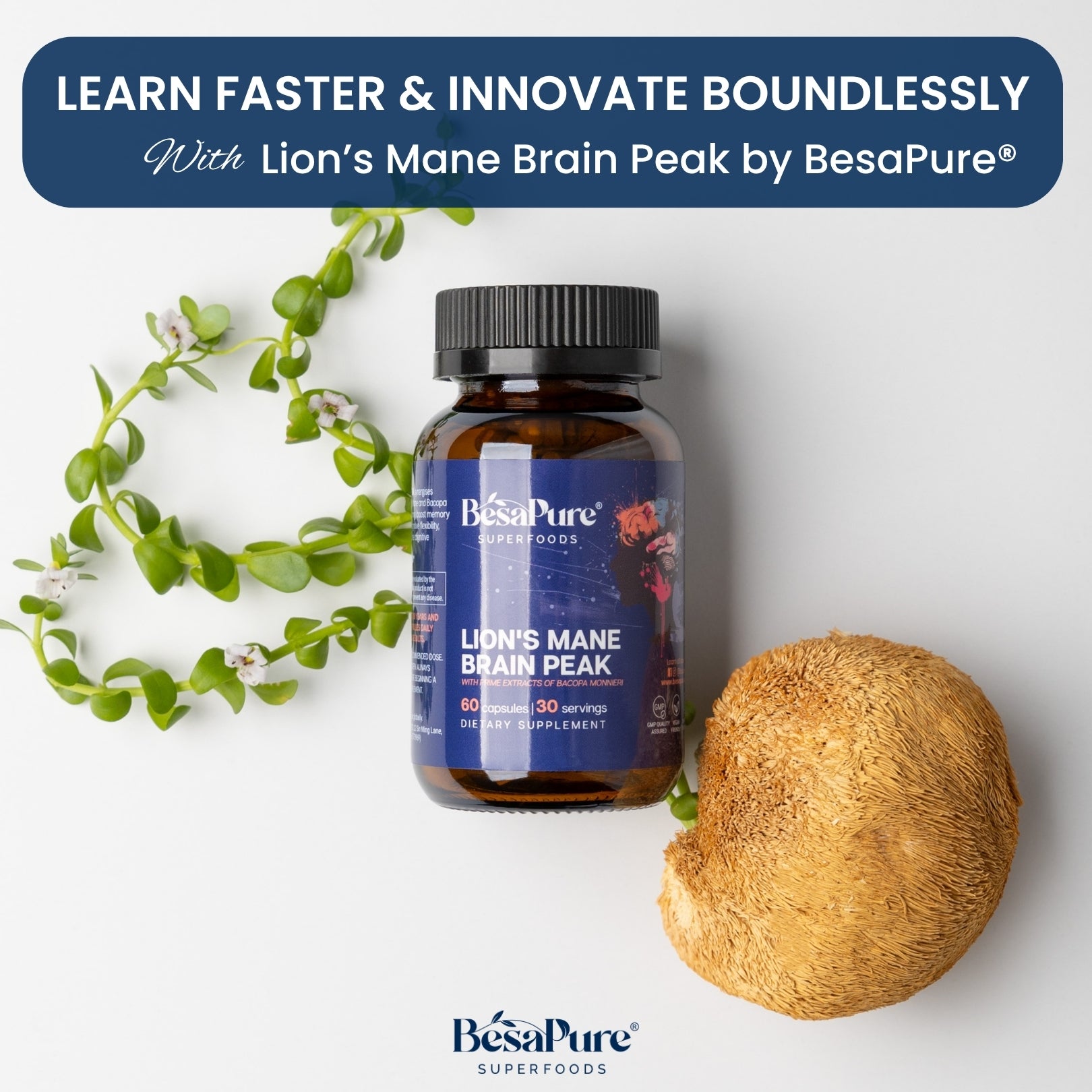 Lions Mane Brain Peak — Nature's Genius Blend