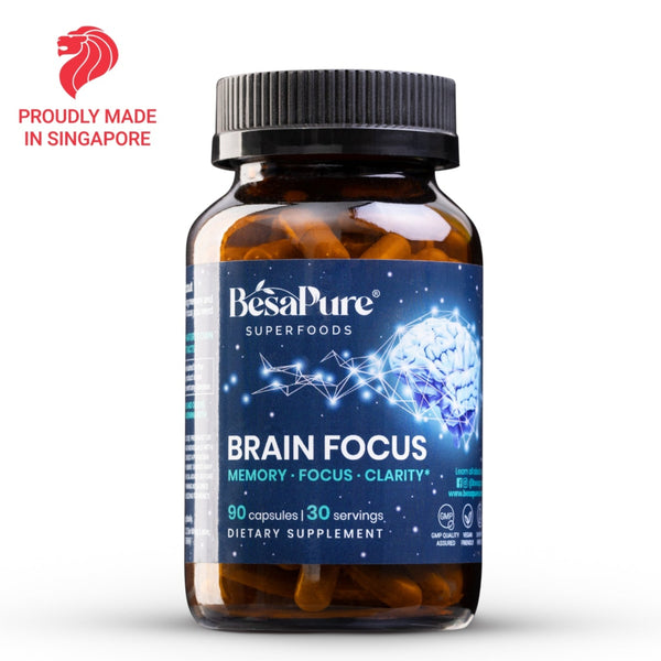 Brain Focus — Natural Nootropic