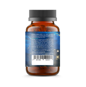 Rhodiola Ginkgo Elite — Nature's Energiser Duo
