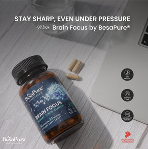 Brain Focus – Natural Nootropic