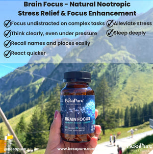 Brain Focus — Natural Nootropic